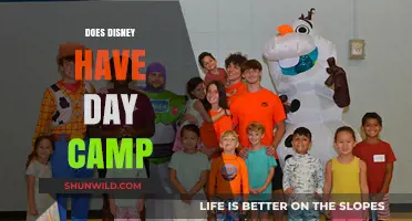 Disney Day Camps: Fun Summer Programs for Kids Explained