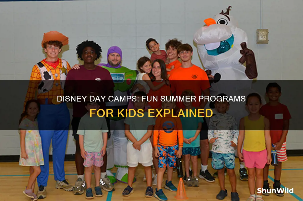 does disney have day camp