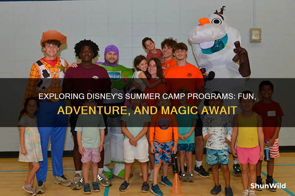 does disney have summer camps