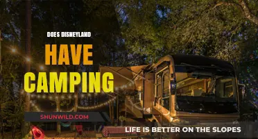 Camping Near Disneyland: Options for Outdoor Adventures and Fun