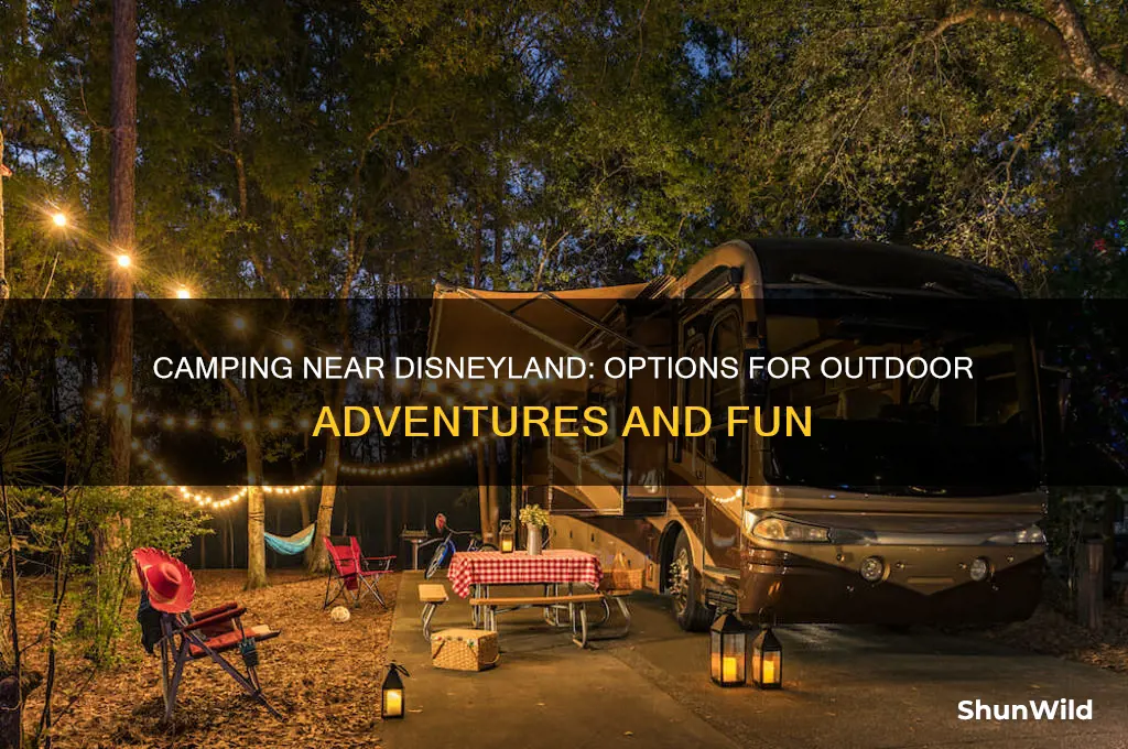 does disneyland have camping