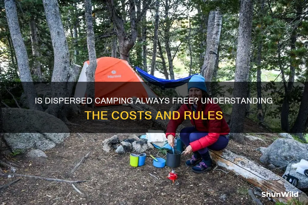 does dispersed camping mean free