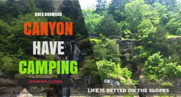 Exploring Dogwood Canyon: Camping Options and Outdoor Adventures Await