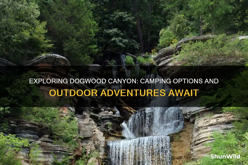 does dogwood canyon have camping