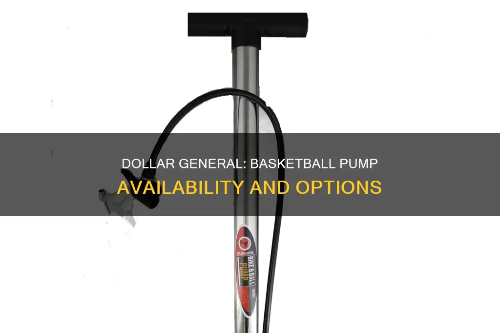 does dollar general sell basketball pumps