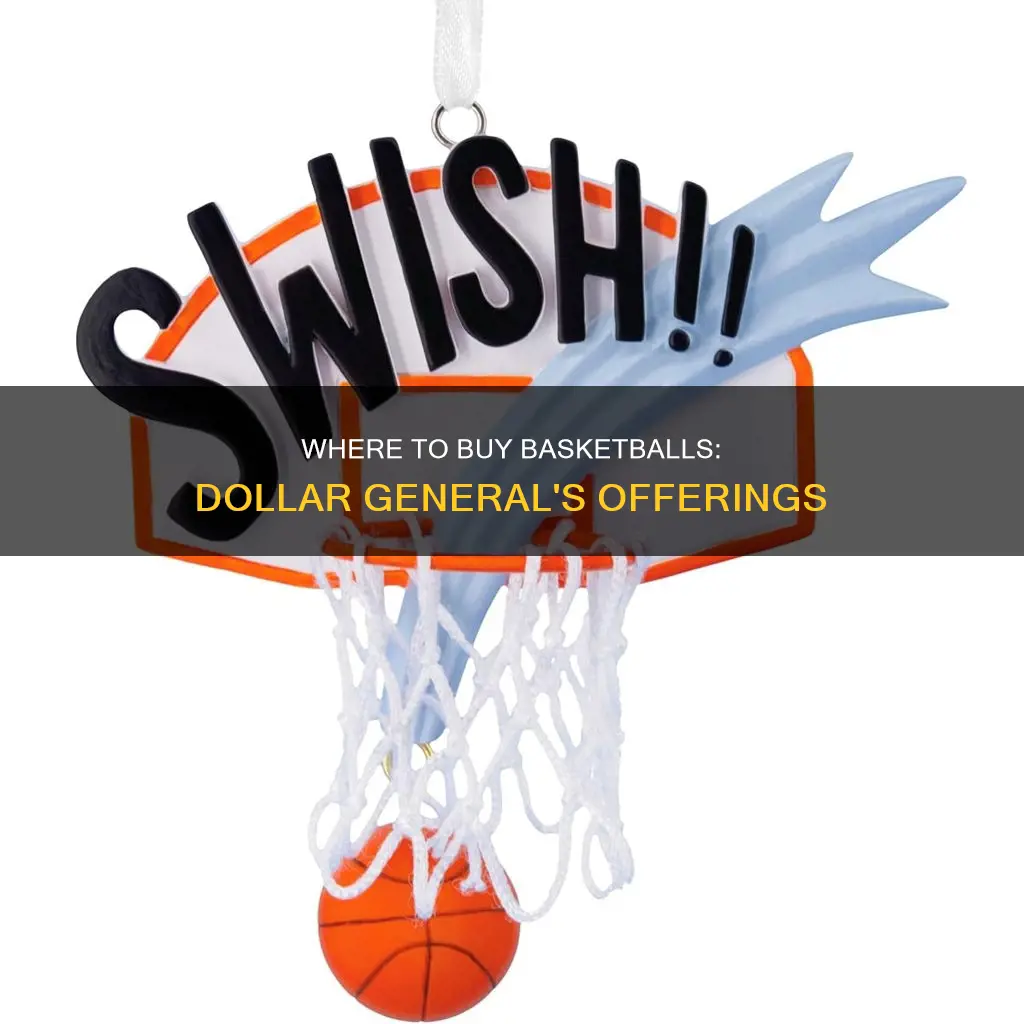 does dollar general sell basketballs