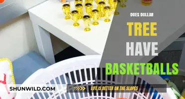 Dollar Tree Basketballs: Are They Worth It?