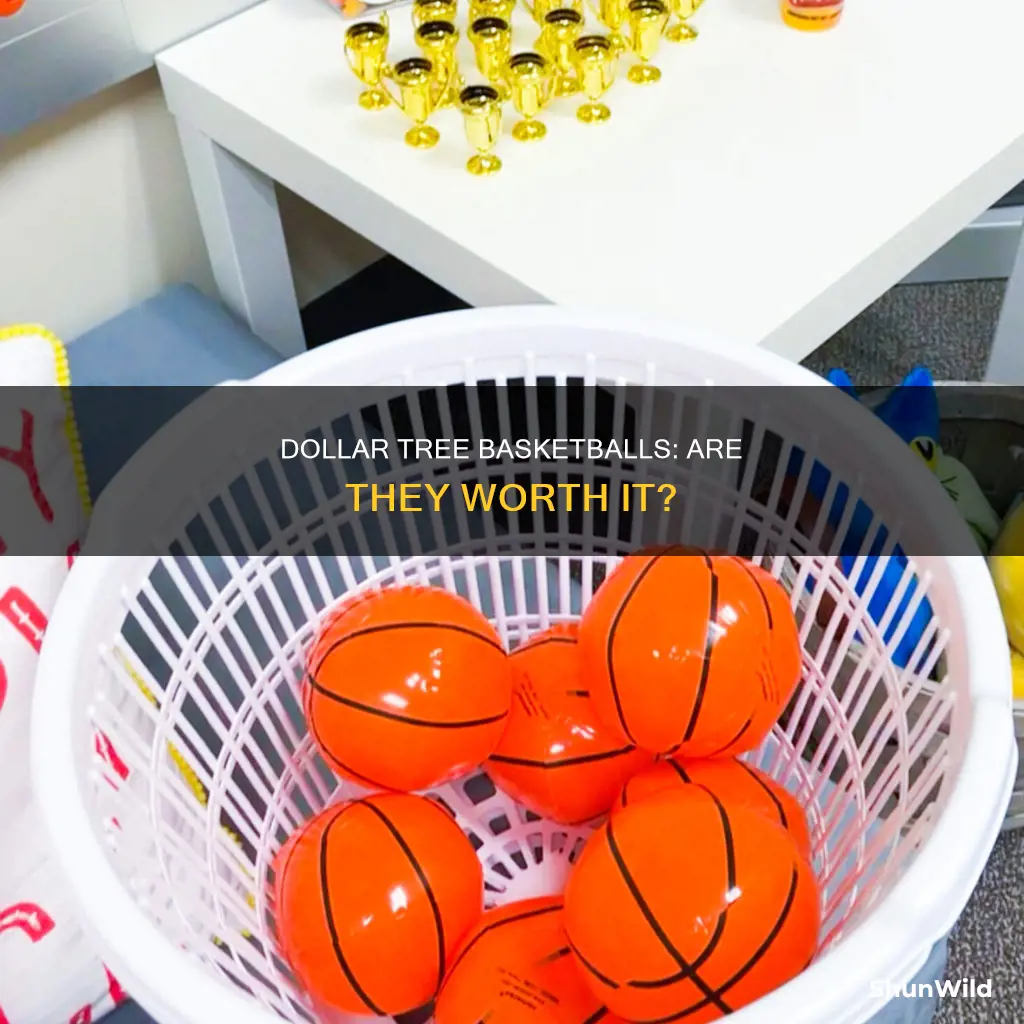 does dollar tree have basketballs