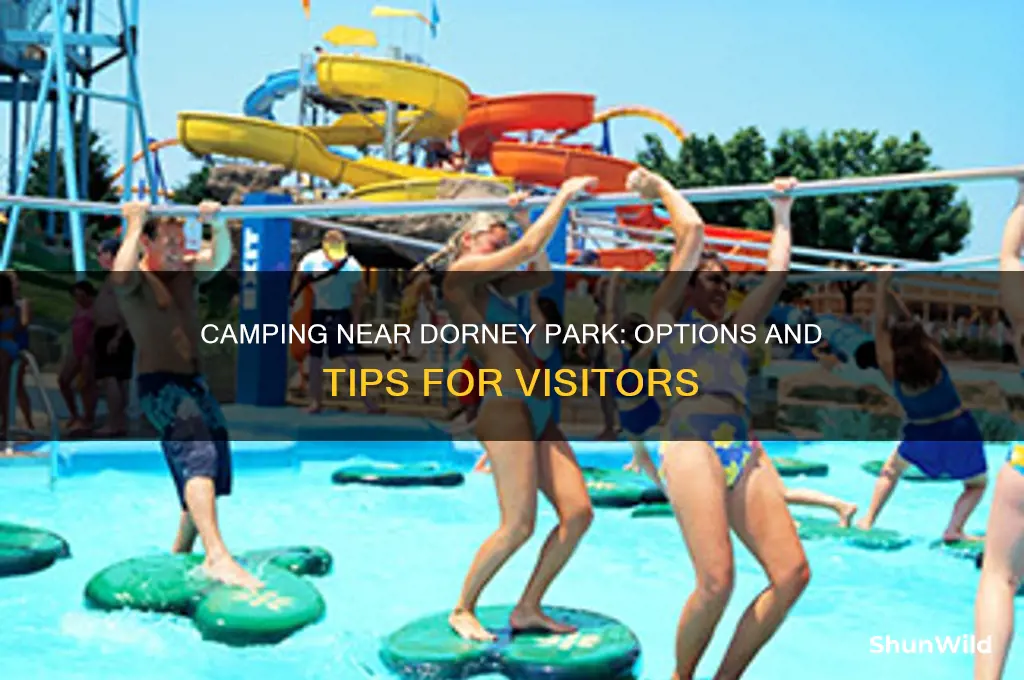 does dorney park have camping