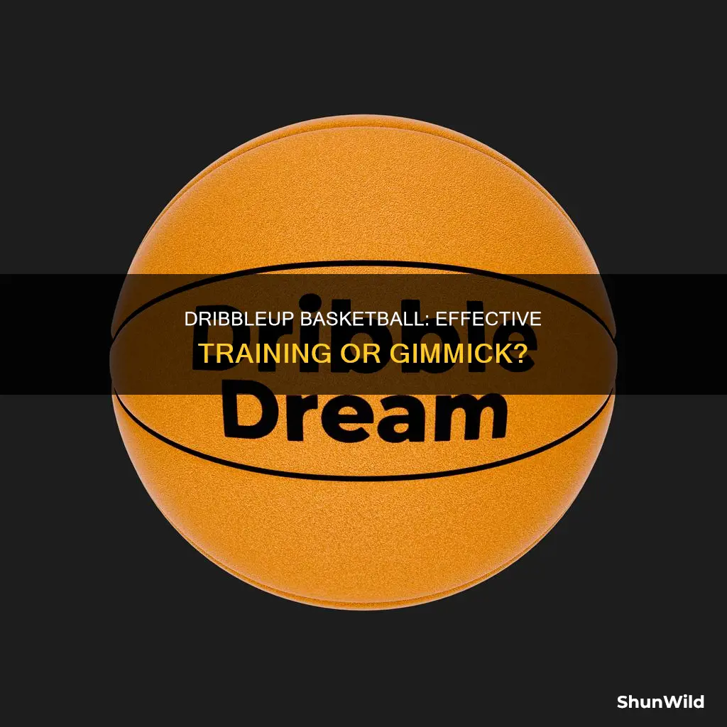 does dribbleup basketball work