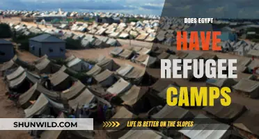 Exploring Egypt's Role in Hosting Refugees: Are There Camps?