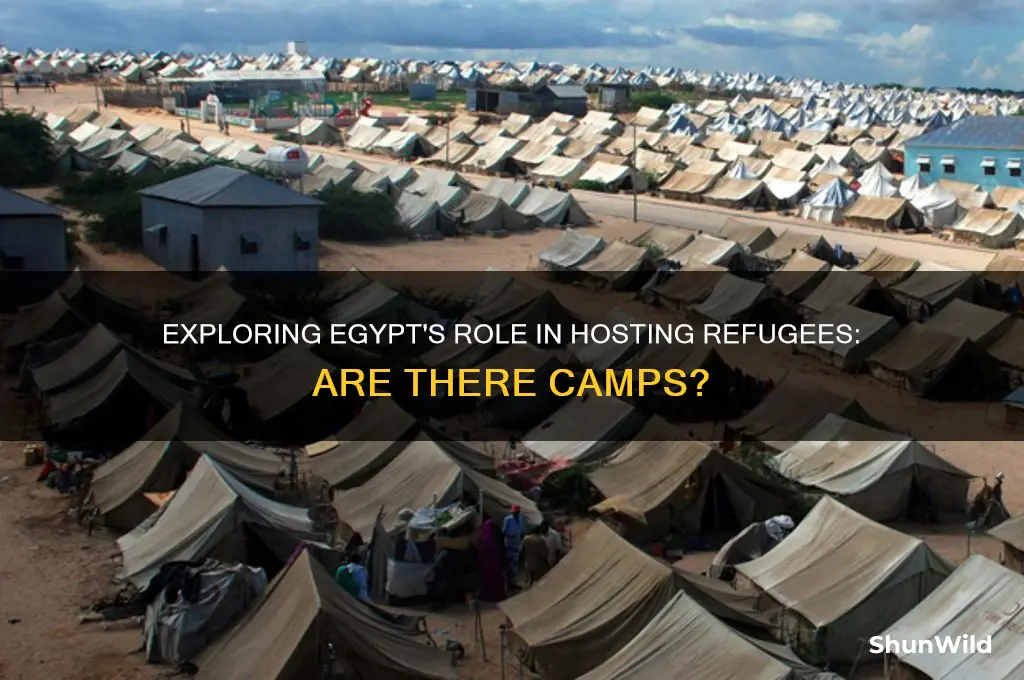 does egypt have refugee camps