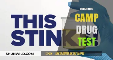 Does Ekerd Camp Conduct Drug Tests? What You Need to Know