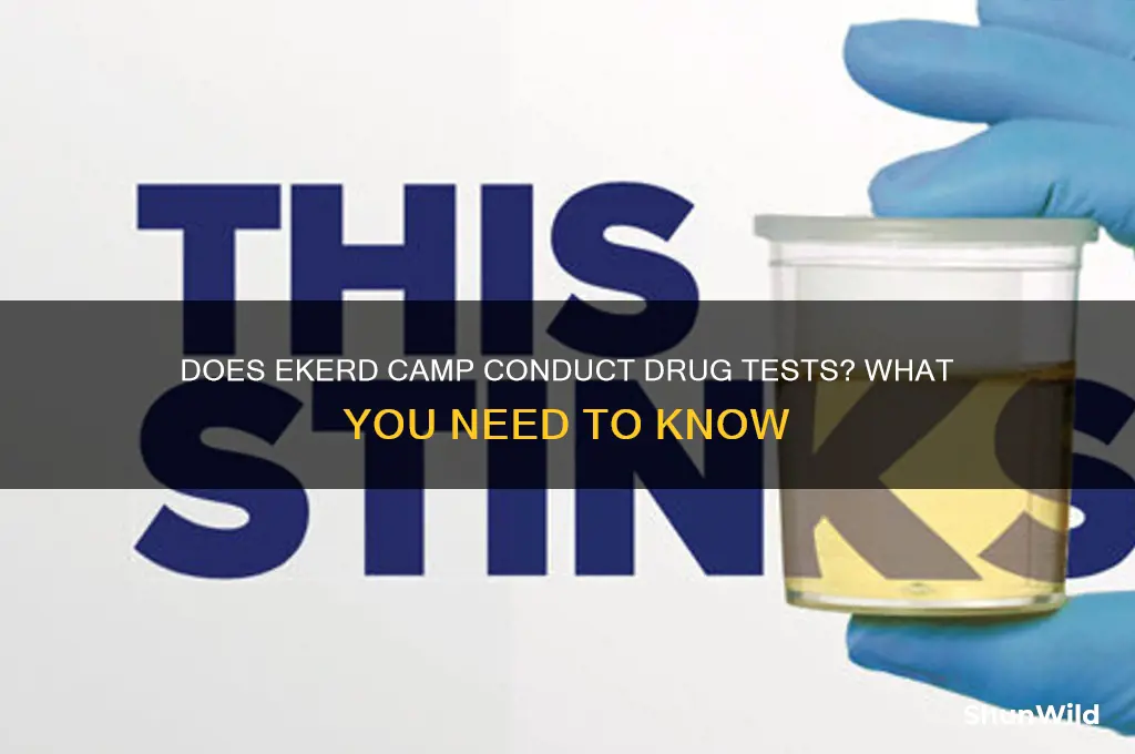 does ekerd camp drug test