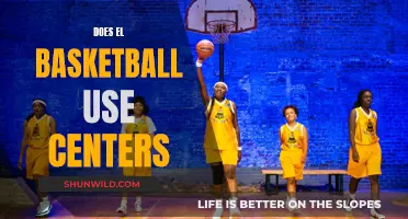 The Evolution of Centers in Basketball
