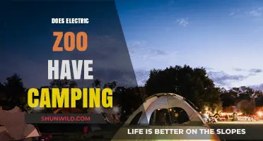 Electric Zoo Camping: Is On-Site Accommodation Available at the Festival?