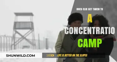 Elie's Harrowing Journey: The Reality of Concentration Camp Deportation