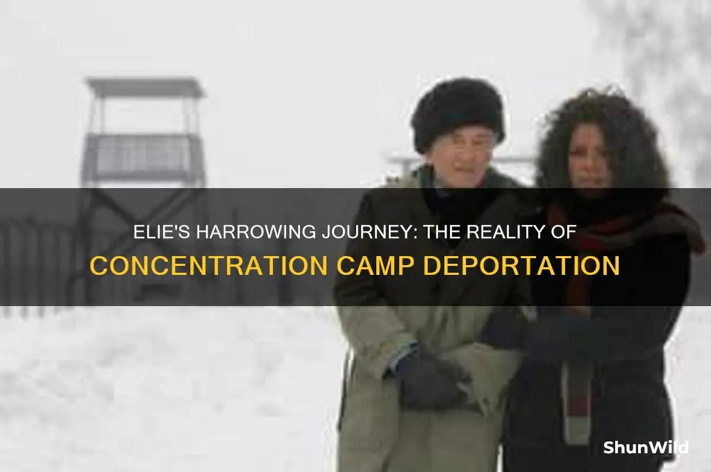 does elie get taken to a concentration camp