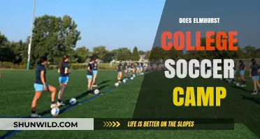 Elmhurst College Soccer Camp: Skills, Fun, and Growth for Young Athletes