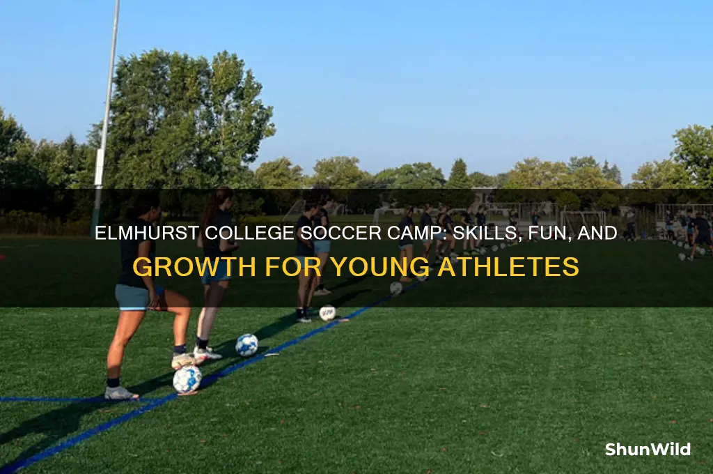 does elmhurst college soccer camp