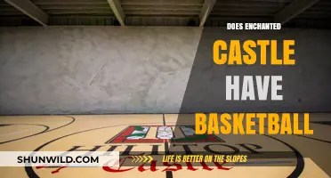 Basketball at Enchanted Castle: Is It a Slam Dunk?