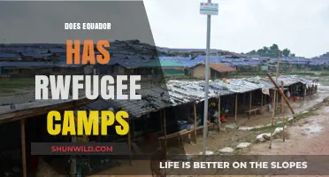 Ecuador's Role in Hosting Refugee Camps: Facts and Insights