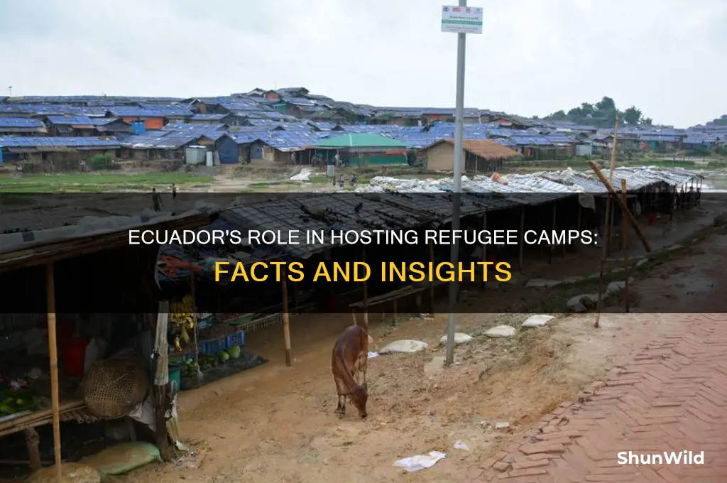 does equador has rwfugee camps