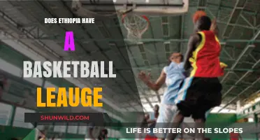 Ethiopia's Basketball Scene: A League of its Own?