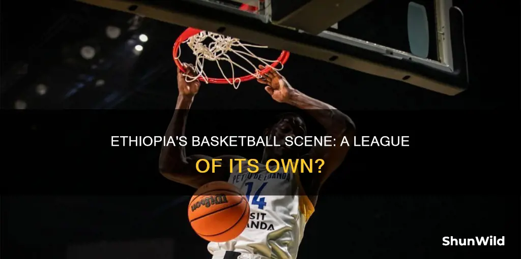does ethiopia have a basketball leauge