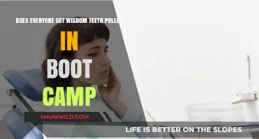 Wisdom Teeth Extraction in Boot Camp: Common Practice or Myth?