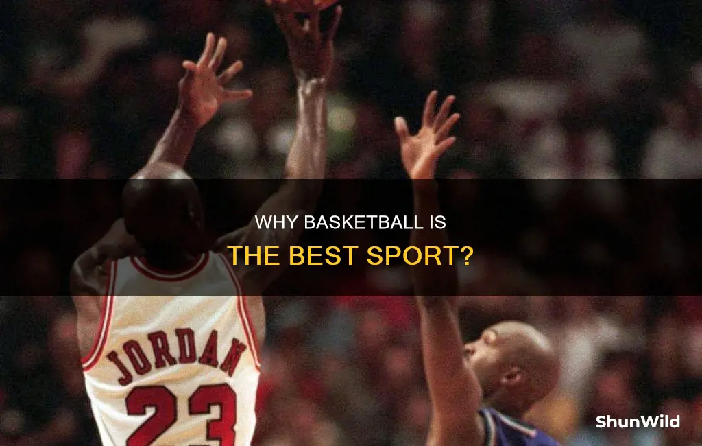 does everyone think basketball is the best sport