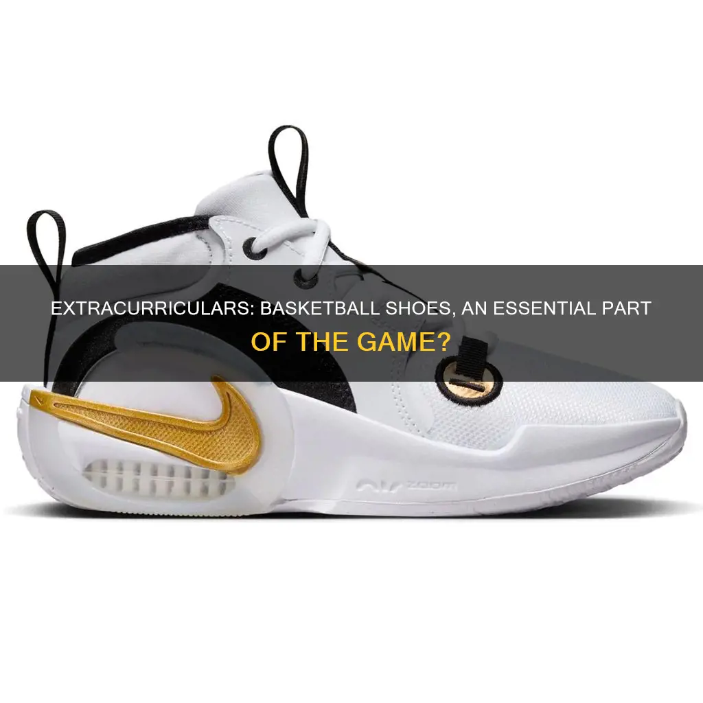 does extra curricular activities include shoes for basketball