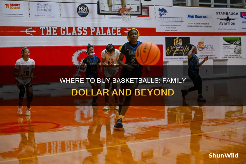 does family dollar sell basketballs
