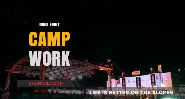 Does Fight Camp Deliver Results? Unveiling the Truth Behind the Hype