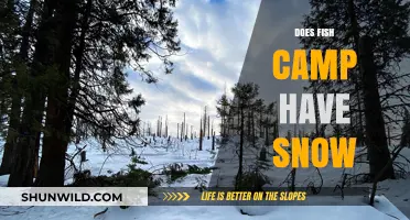Does Fish Camp Experience Snow? Exploring Winter Weather in Fish Camp