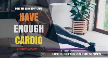 Does Fit Body Boot Camp Offer Sufficient Cardio for Fitness Goals?
