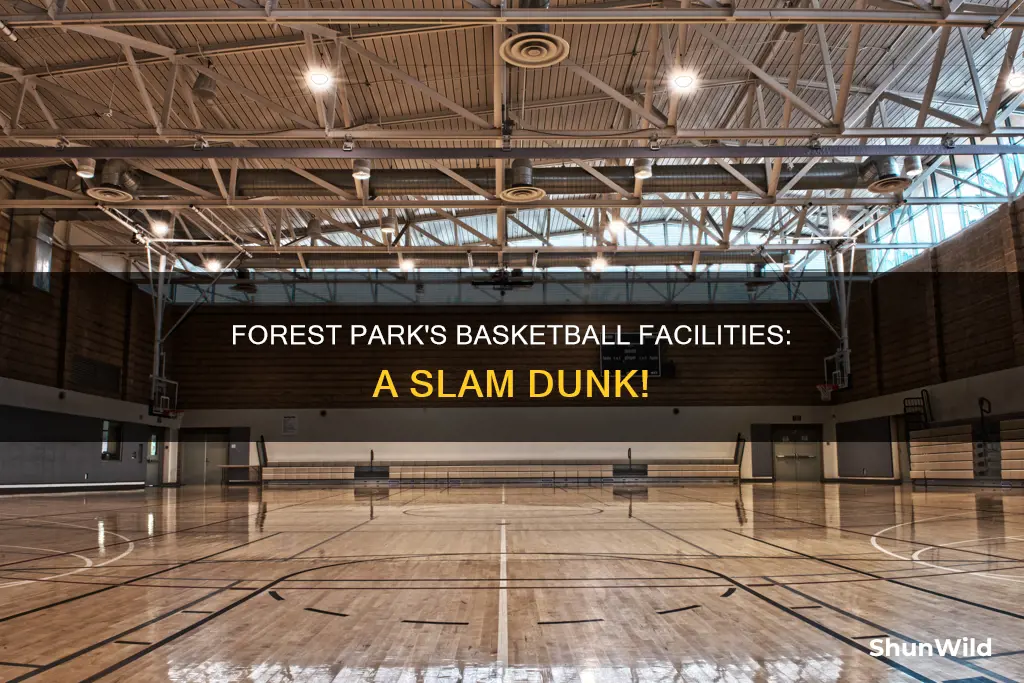 does forest park have basketball