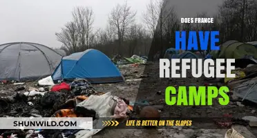 France's Refugee Camps: Reality, Locations, and Humanitarian Concerns
