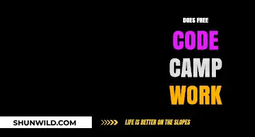 Does Free Code Camp Work? Unlocking Coding Success for Beginners