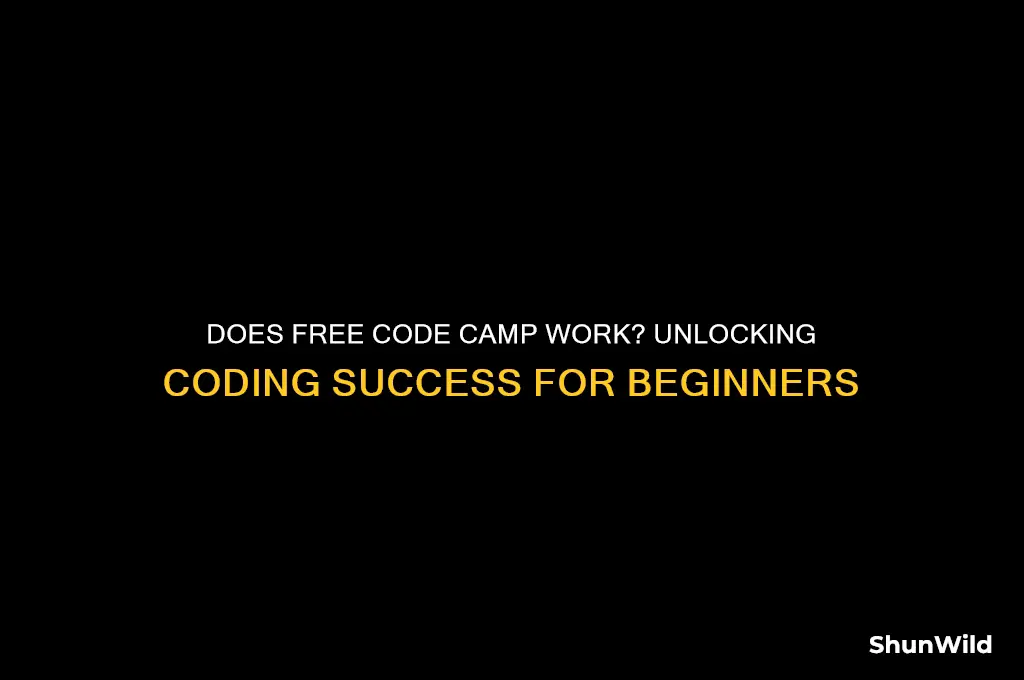 does free code camp work