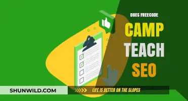 Does FreeCodeCamp Teach SEO? A Comprehensive Guide for Beginners