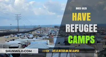 Gaza's Refugee Camps: History, Conditions, and Ongoing Challenges Explained