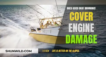 Boat Engine Damage: Is GEICO Insurance Coverage Comprehensive?