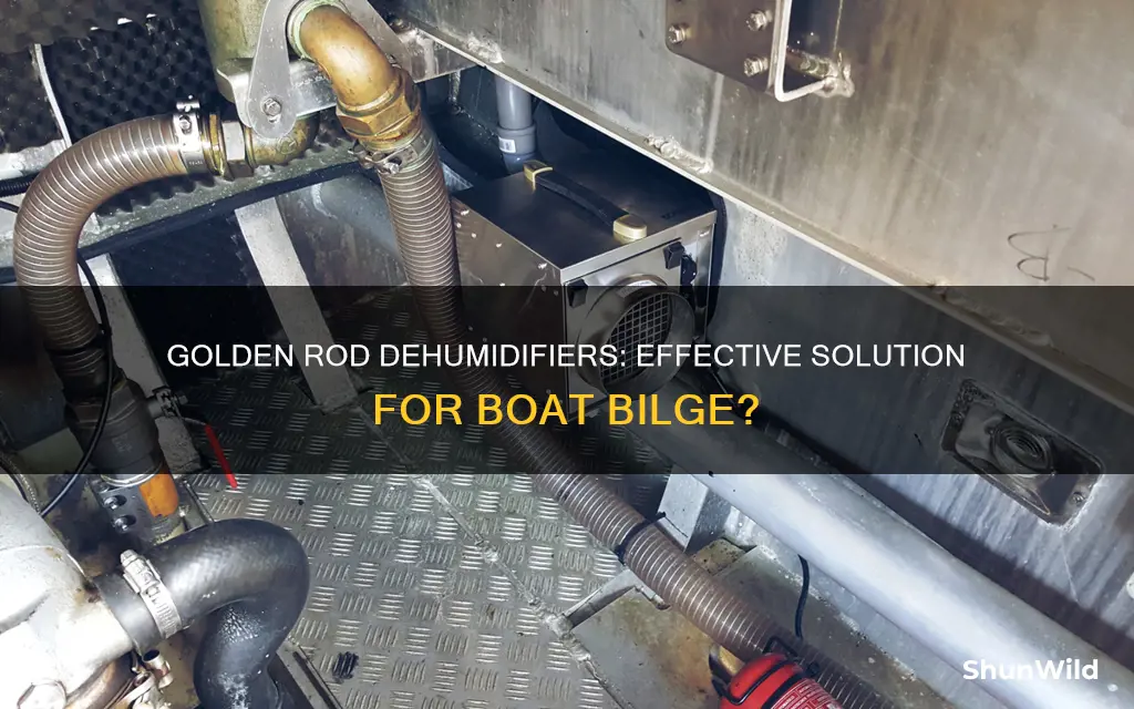 does golden rod dehumidifier work for boat bilge