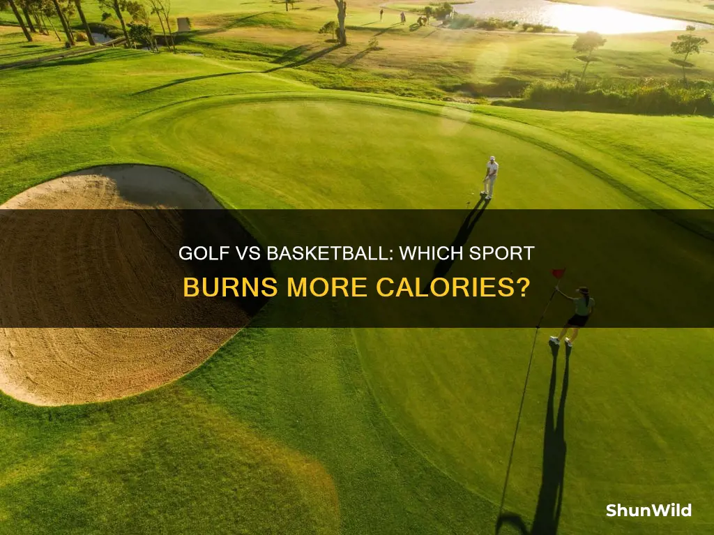 does golf burn more calories than basketball