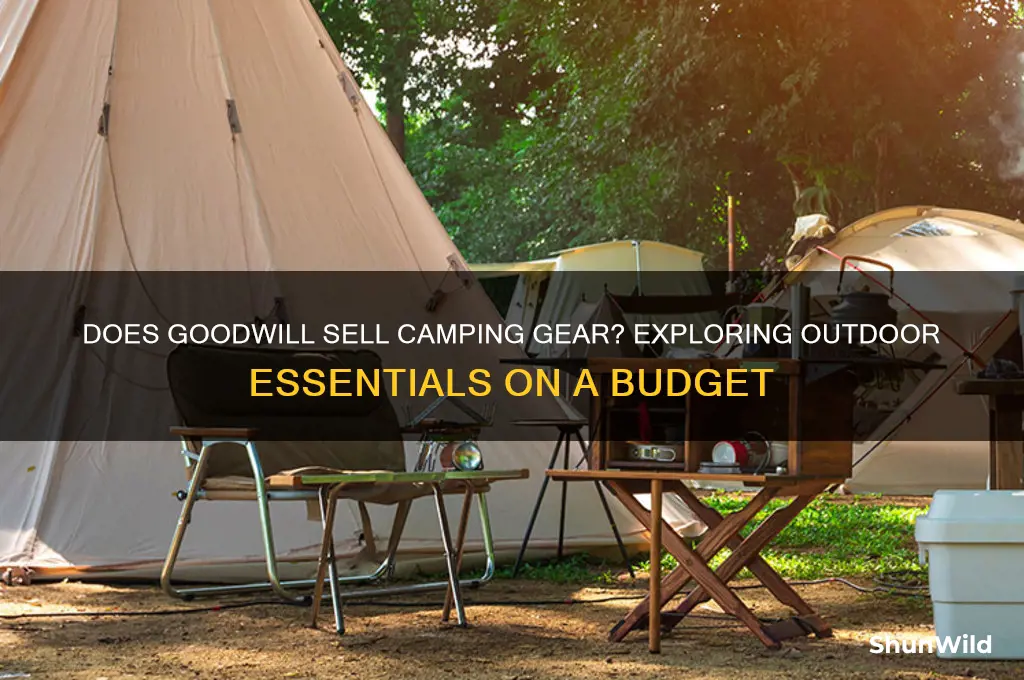 does goodwill have camping stuff