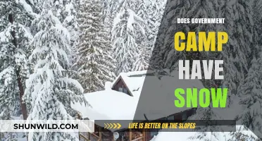Does Government Camp Have Snow? Exploring Winter Conditions in Oregon's Ski Hub