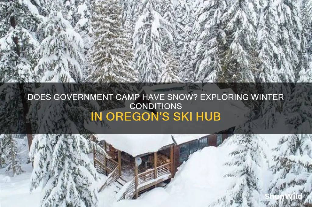 does government camp have snow