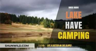 Hagg Lake Camping: Options, Amenities, and What to Expect