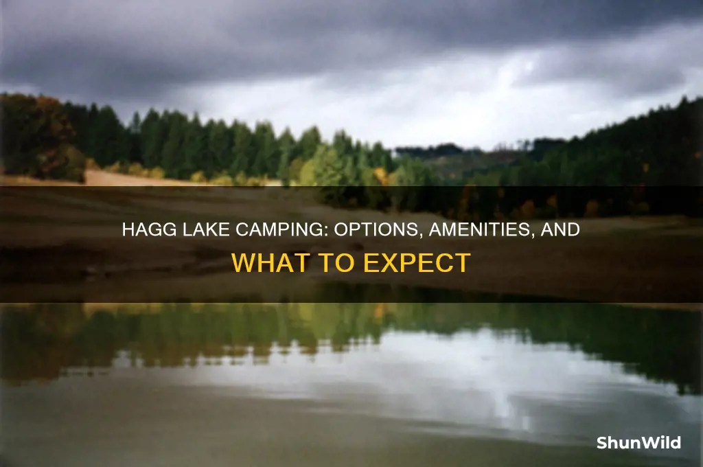 does hagg lake have camping